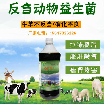 肉牛健胃不要只知道用小蘇打用益生菌效果更好的