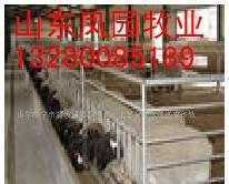畜牧養殖牛羊肉牛育肥鳳園牧業_農副產品_世界工廠網中國產品信息庫
